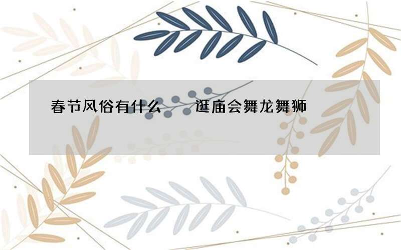 春节风俗有什么  逛庙会舞龙舞狮